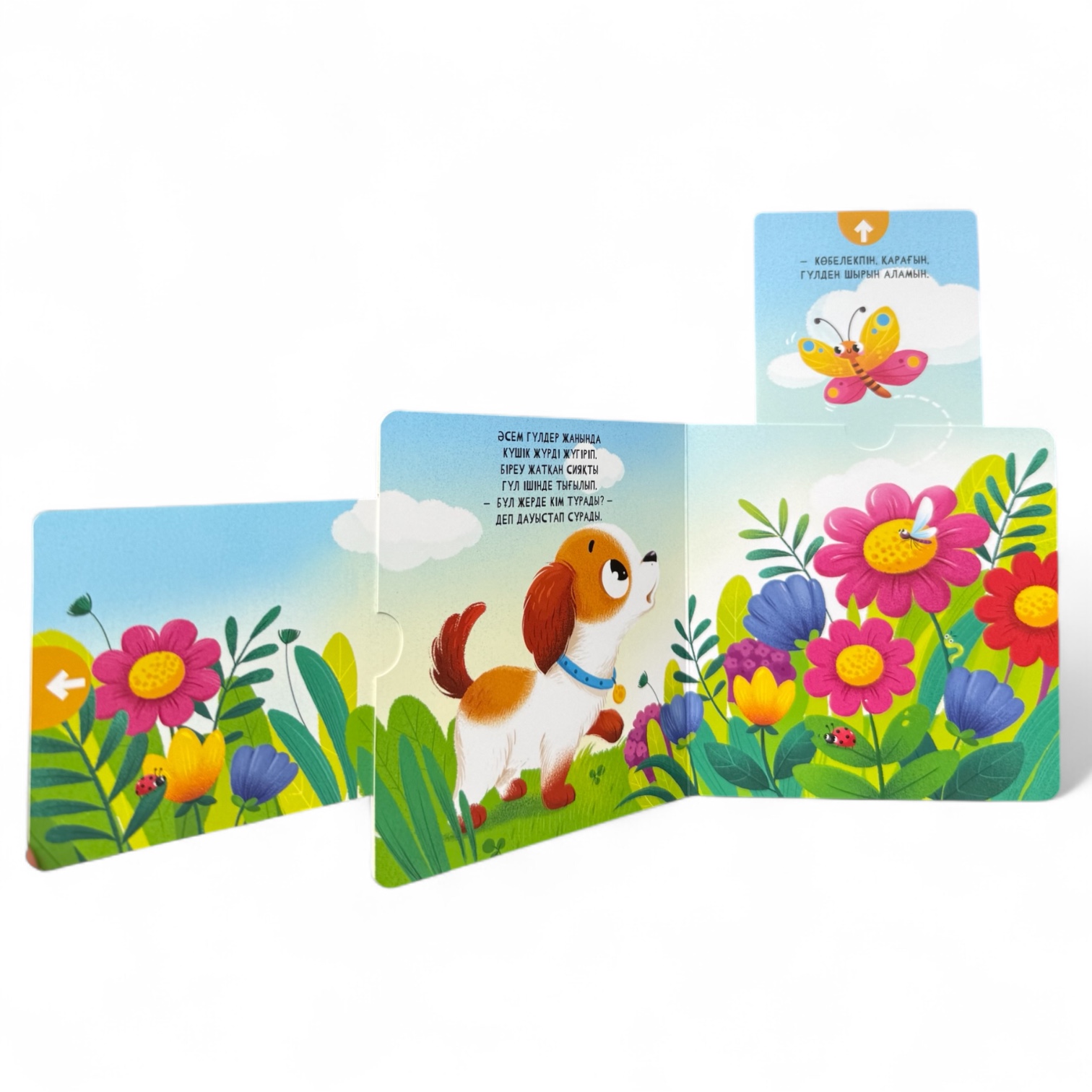 Мұнда кім тұрады? Менің алғашқы қозғалмалы бөліктері бар кітапшам — фото 2