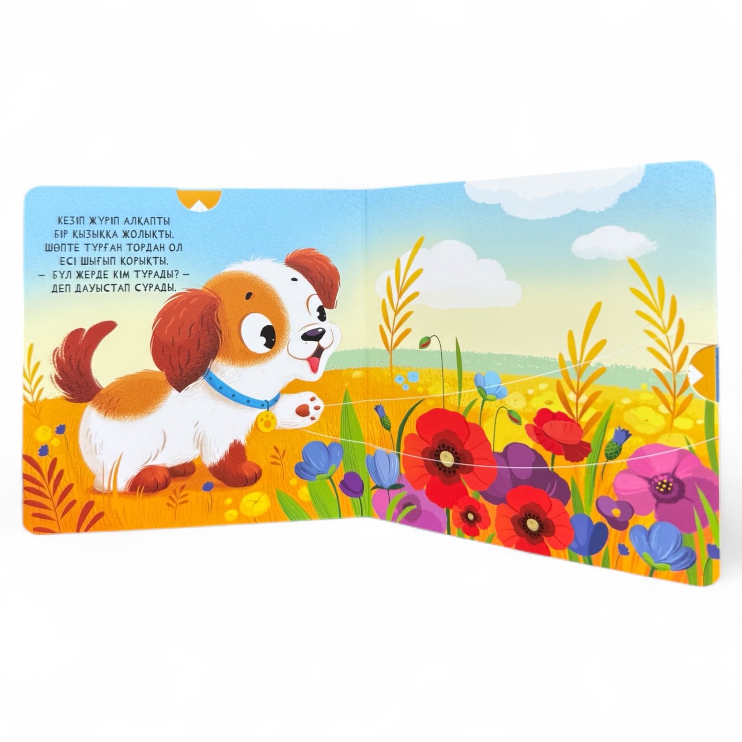 Мұнда кім тұрады? Менің алғашқы қозғалмалы бөліктері бар кітапшам — фото 3