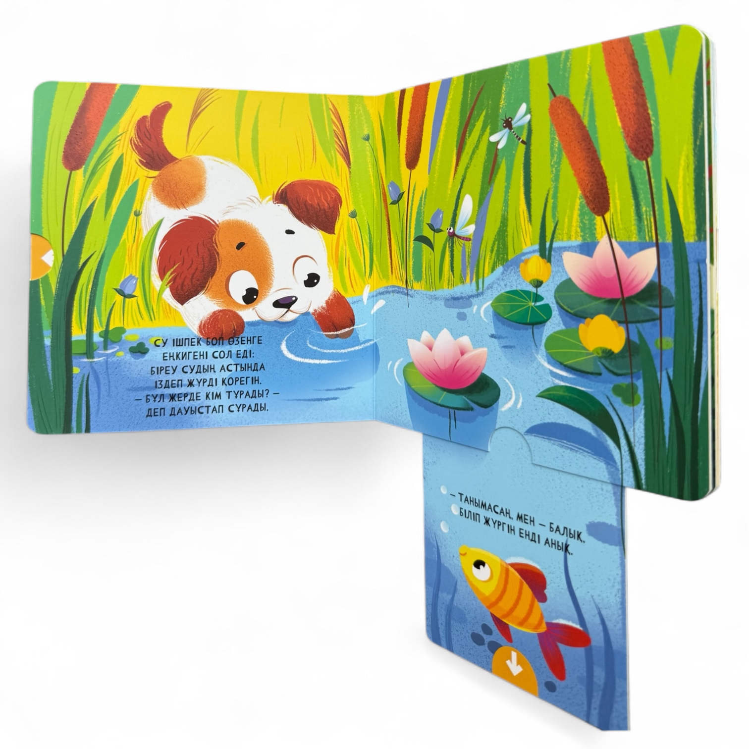 Мұнда кім тұрады? Менің алғашқы қозғалмалы бөліктері бар кітапшам — фото 4