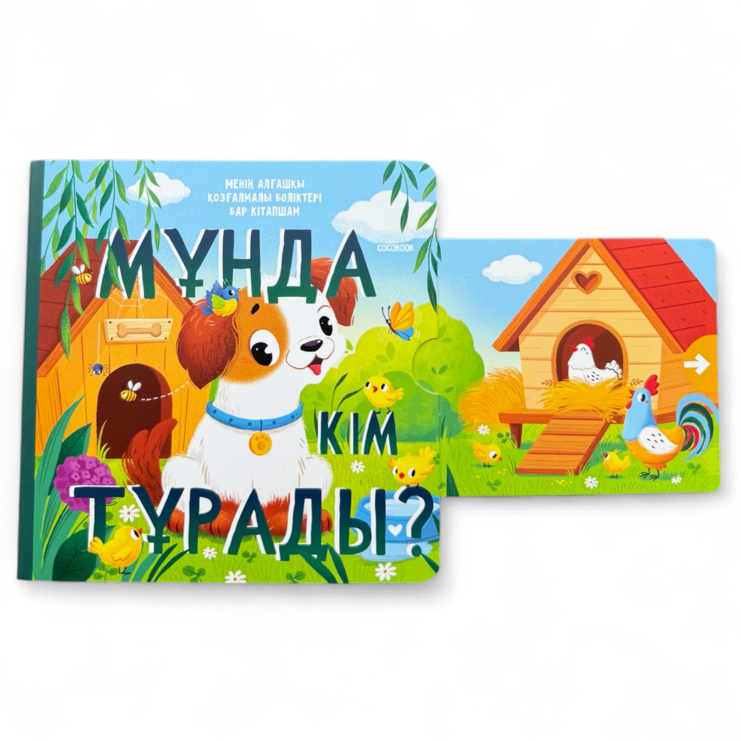 Мұнда кім тұрады? Менің алғашқы қозғалмалы бөліктері бар кітапшам — фото 5