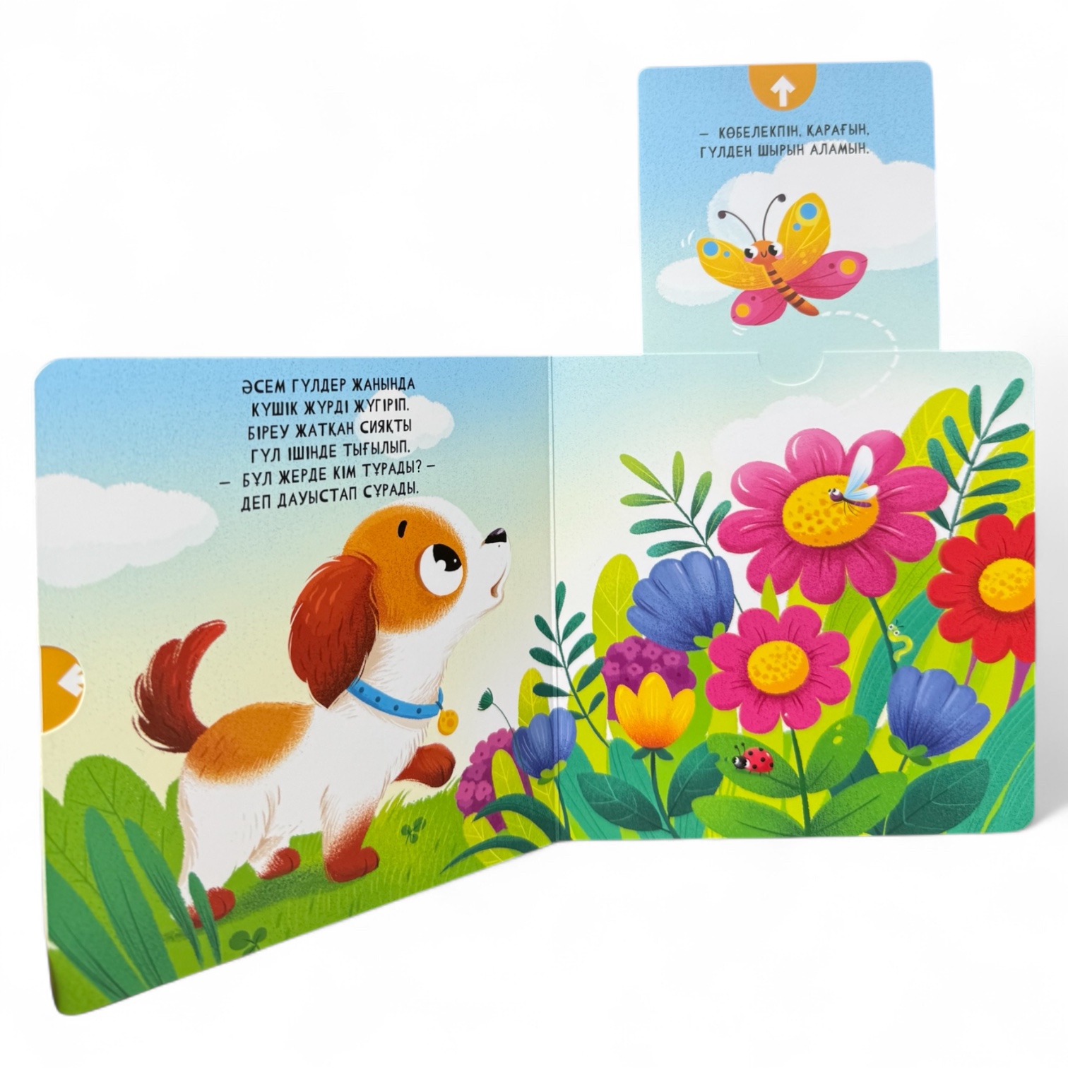 Мұнда кім тұрады? Менің алғашқы қозғалмалы бөліктері бар кітапшам — фото 6