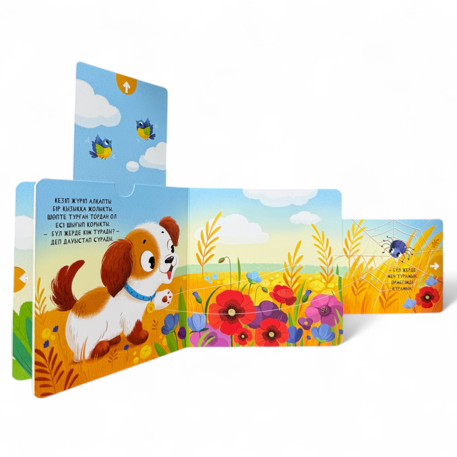 Мұнда кім тұрады? Менің алғашқы қозғалмалы бөліктері бар кітапшам — фото 7