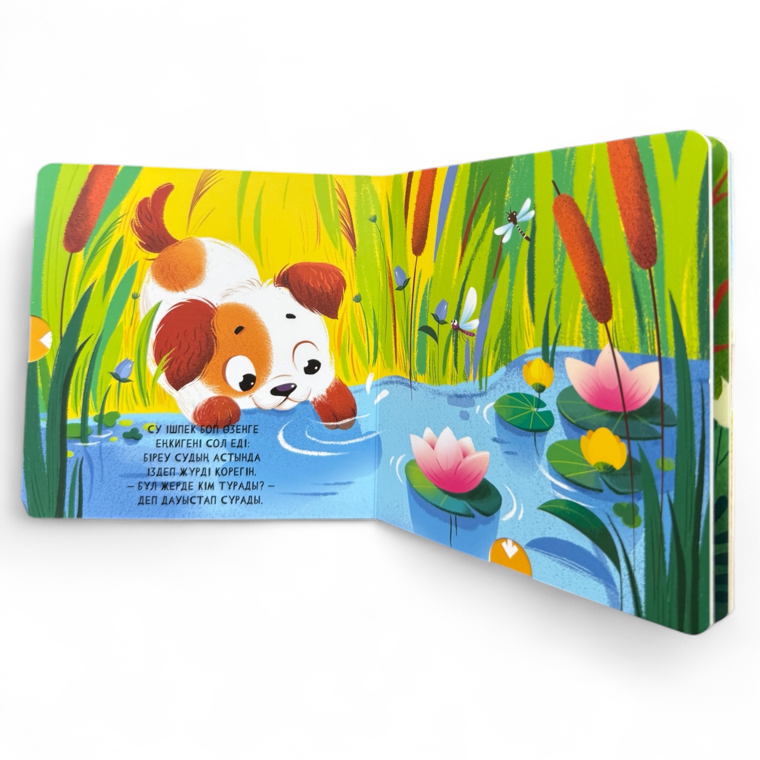 Мұнда кім тұрады? Менің алғашқы қозғалмалы бөліктері бар кітапшам — фото 8