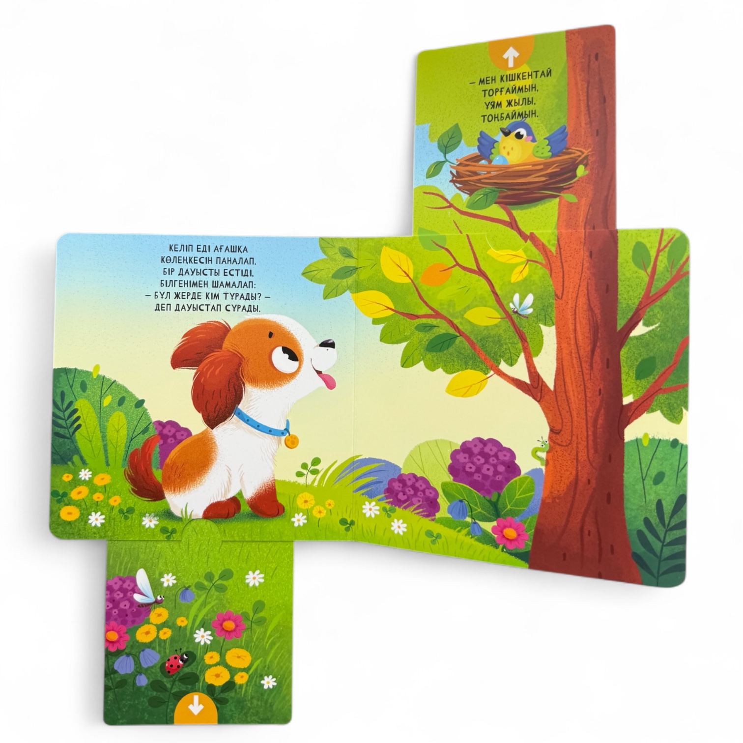 Мұнда кім тұрады? Менің алғашқы қозғалмалы бөліктері бар кітапшам — фото 9