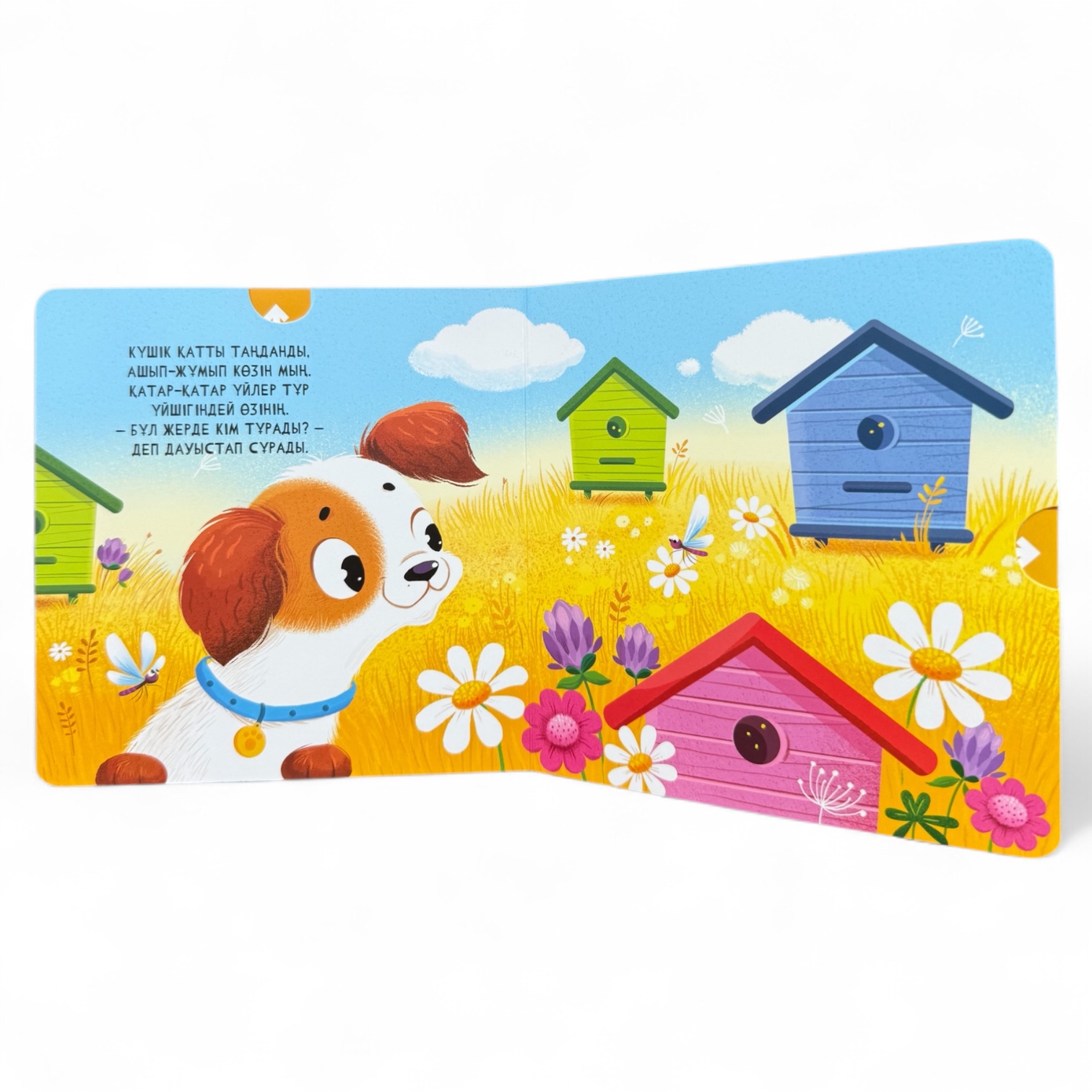 Мұнда кім тұрады? Менің алғашқы қозғалмалы бөліктері бар кітапшам — фото 10