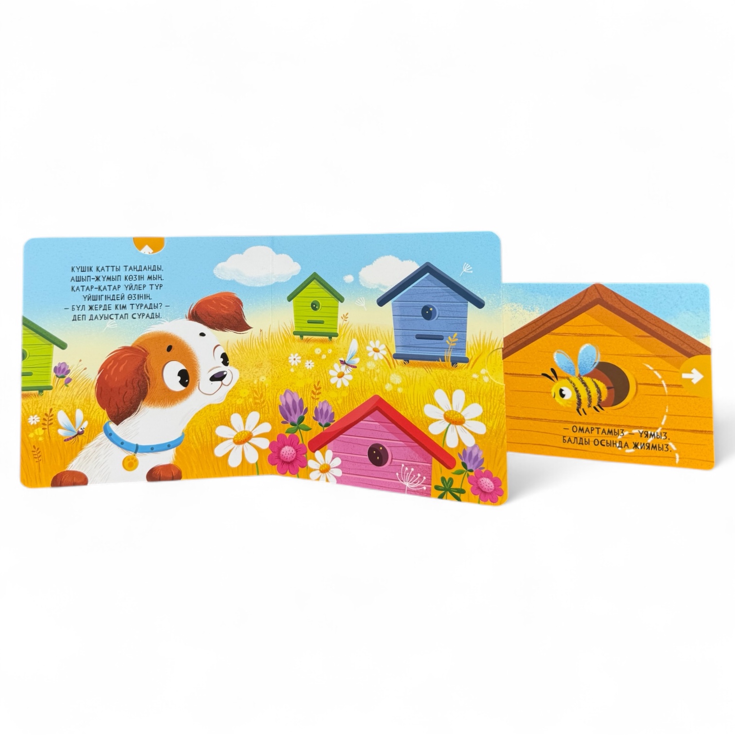 Мұнда кім тұрады? Менің алғашқы қозғалмалы бөліктері бар кітапшам — фото 11