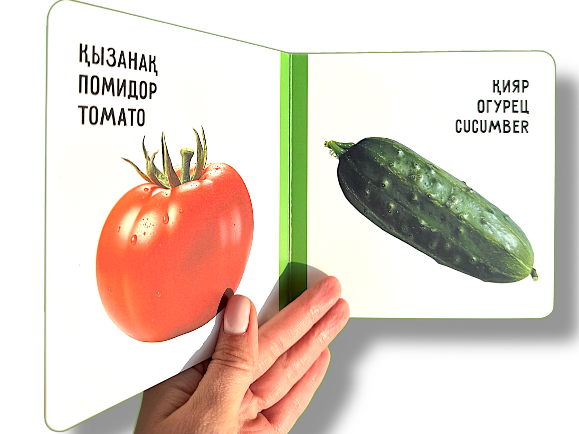 Көкөністер. Овощи. Vegetables. Книжка-картонка на трёх языках — фото 2