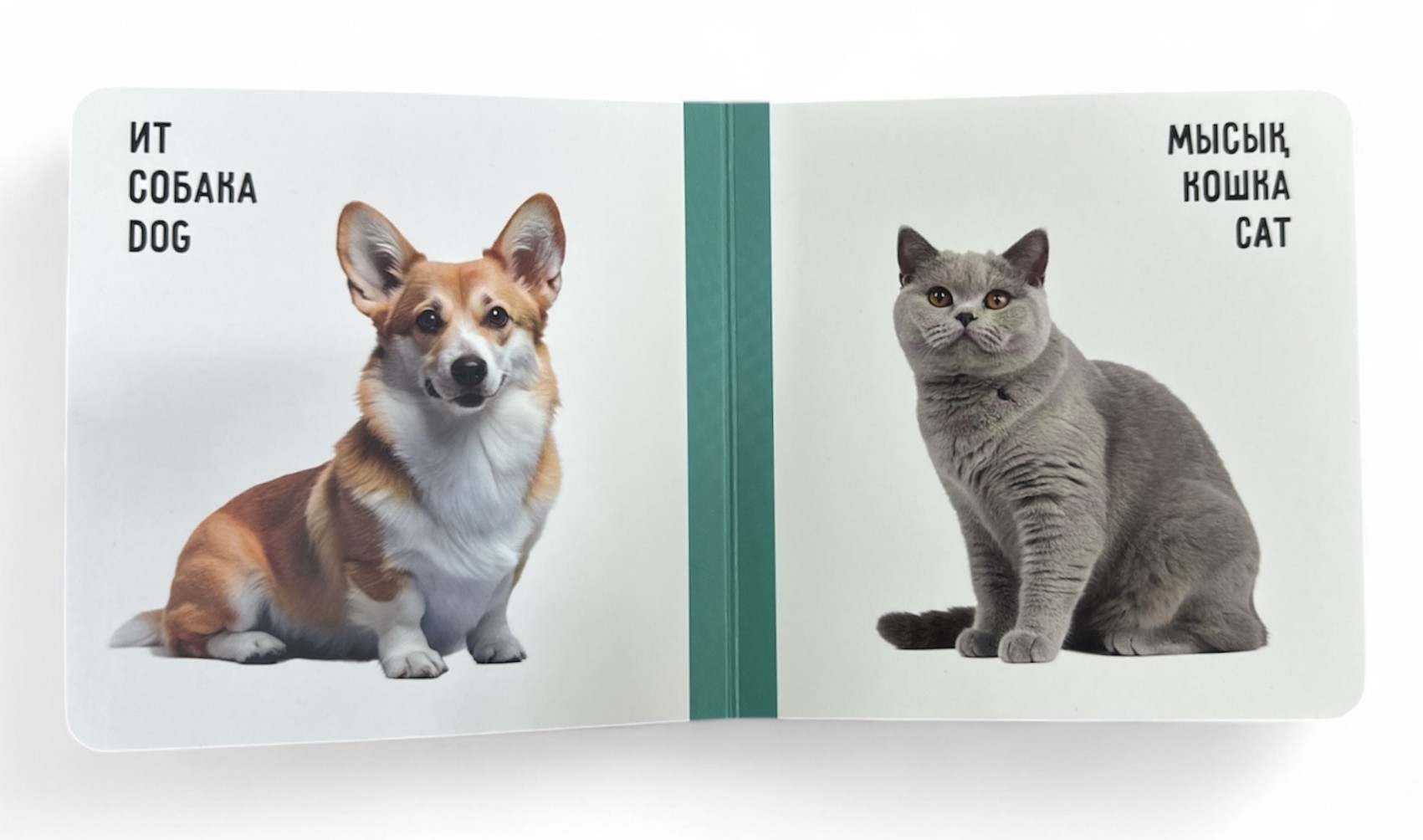 Үй жануарлары. Домашние животные. Farm animals. Книжка-картонка на трёх языках — фото 2