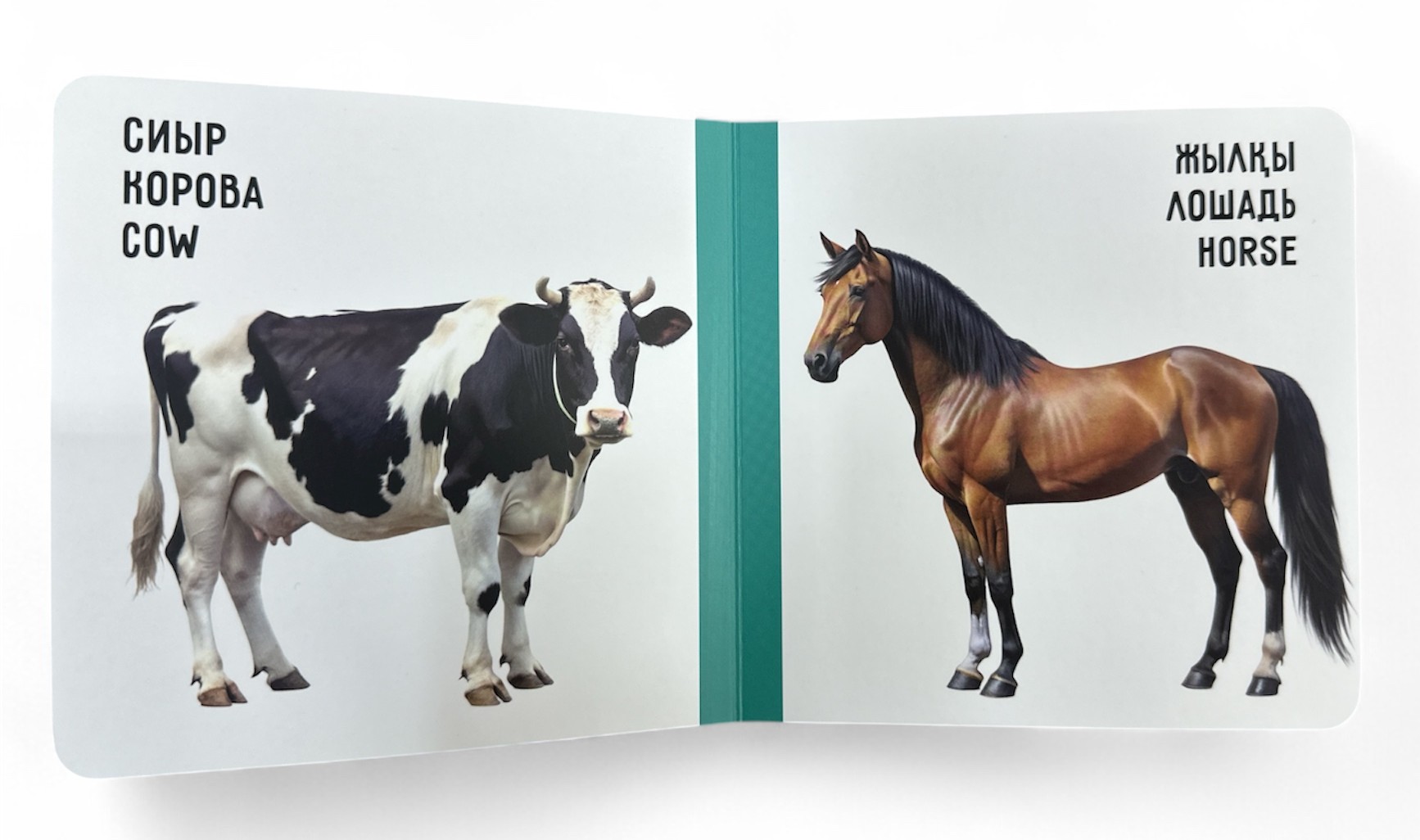 Үй жануарлары. Домашние животные. Farm animals. Книжка-картонка на трёх языках — фото 3