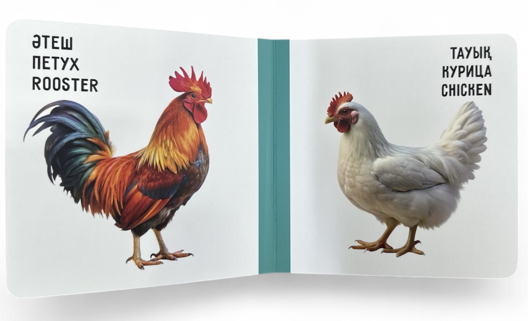 Үй жануарлары. Домашние животные. Farm animals. Книжка-картонка на трёх языках — фото 4