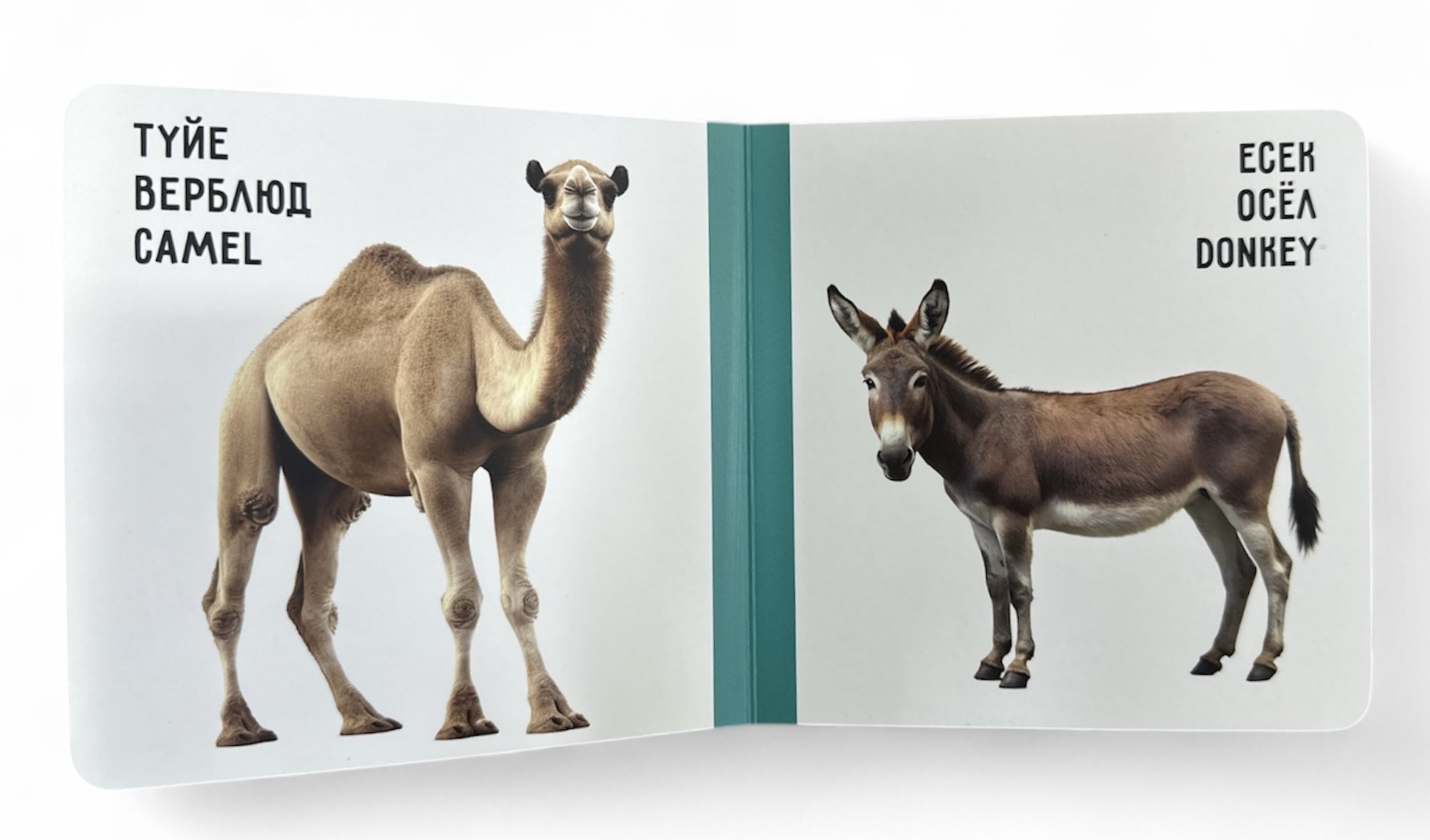 Үй жануарлары. Домашние животные. Farm animals. Книжка-картонка на трёх языках — фото 5