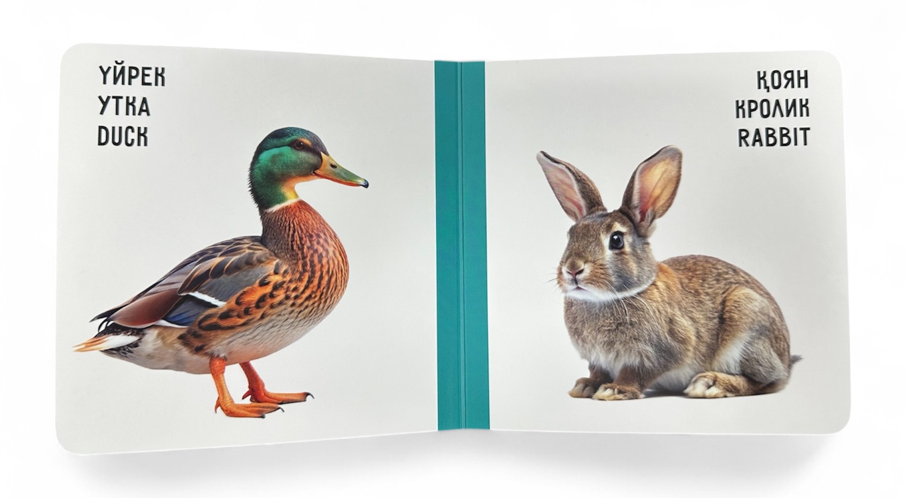 Үй жануарлары. Домашние животные. Farm animals. Книжка-картонка на трёх языках — фото 6