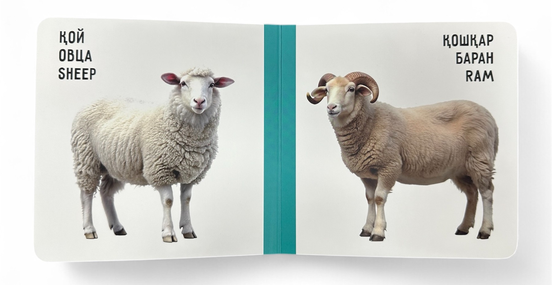 Үй жануарлары. Домашние животные. Farm animals. Книжка-картонка на трёх языках — фото 7