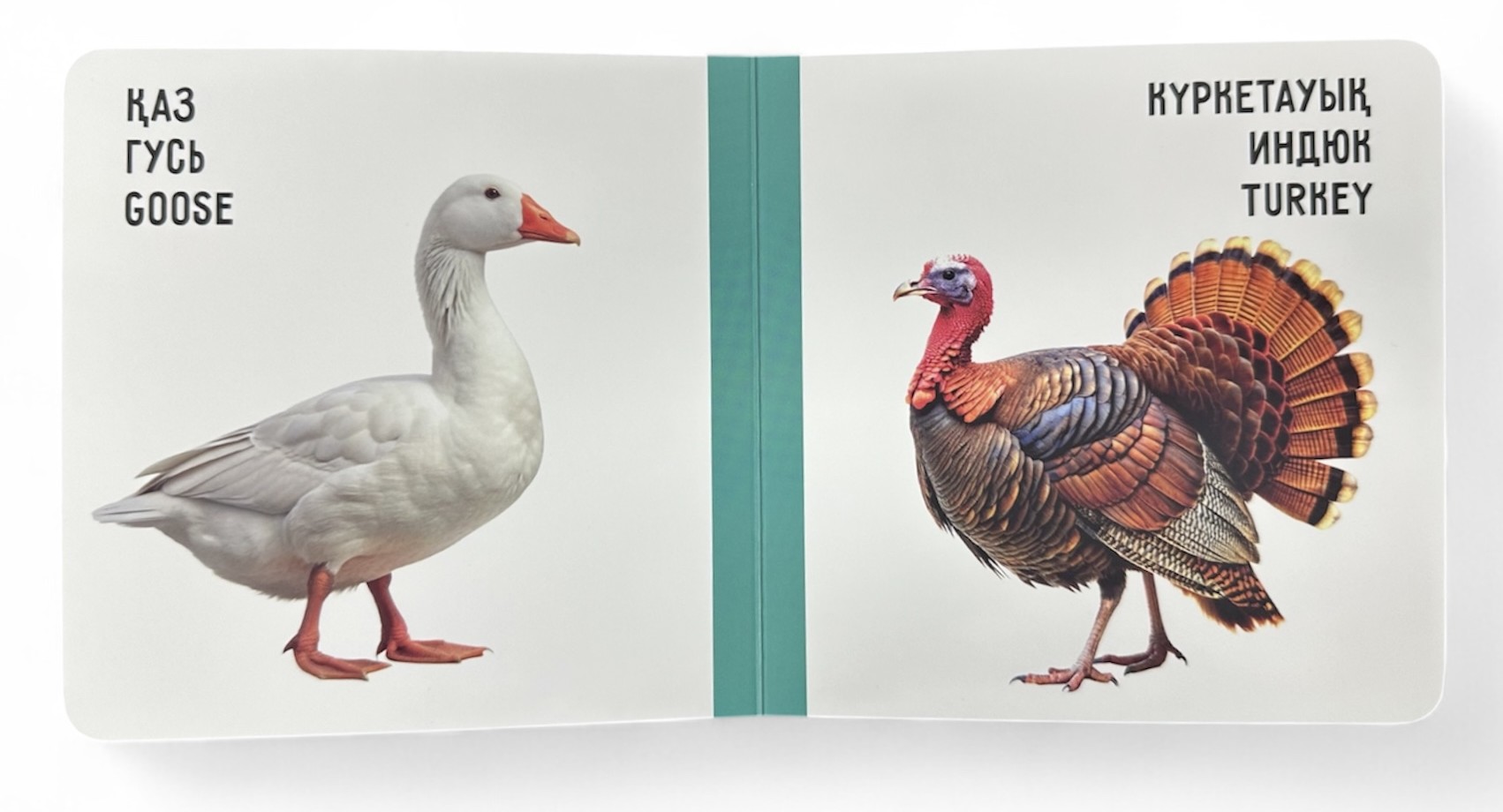 Үй жануарлары. Домашние животные. Farm animals. Книжка-картонка на трёх языках — фото 8