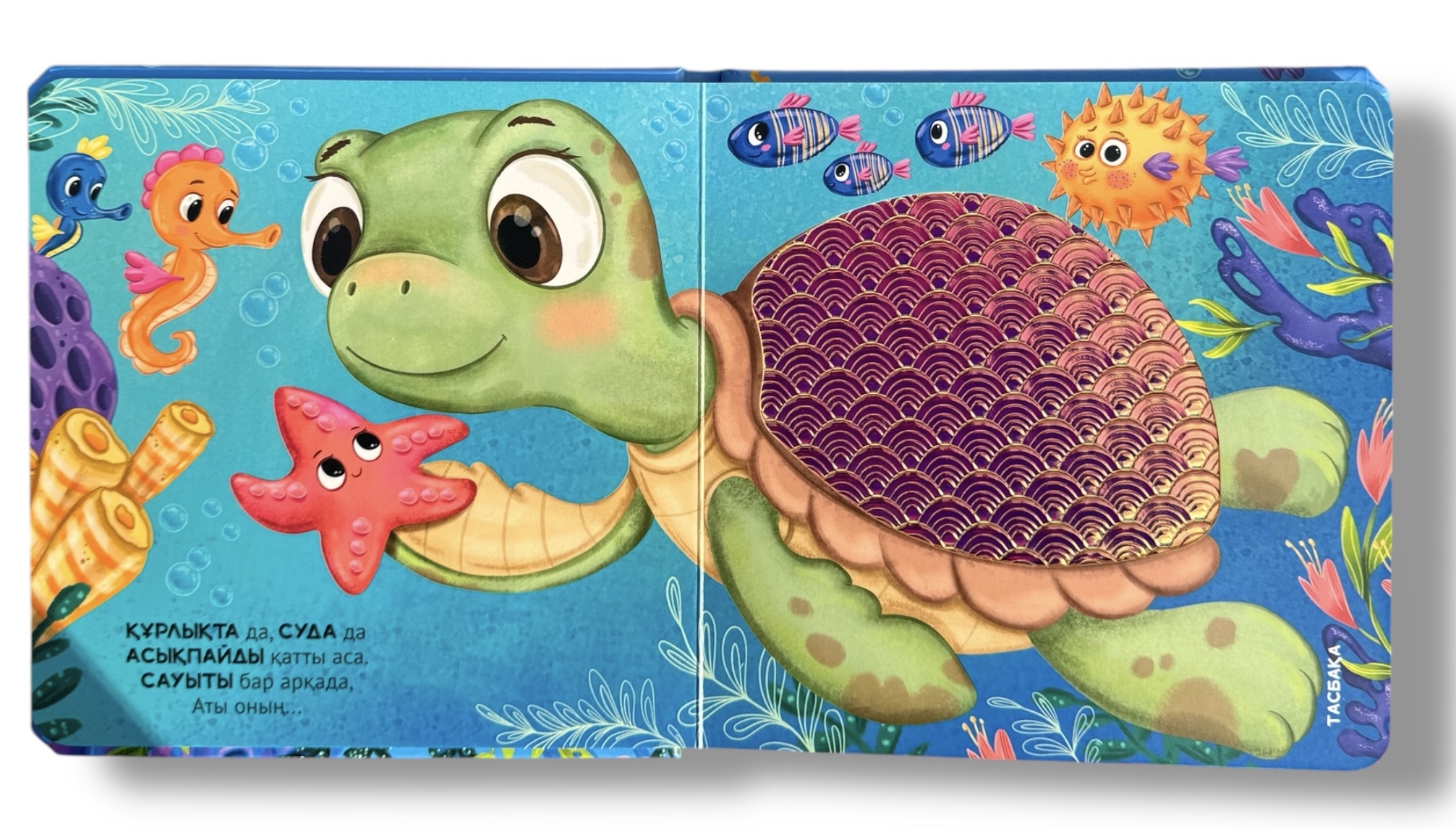 Мұхитта. Сипайық - көрейік. Тактильді кітап — фото 2