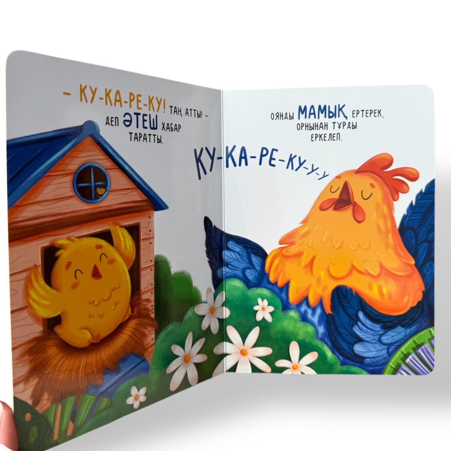 Мамық атты балапан. Алғашқы дос — фото 3