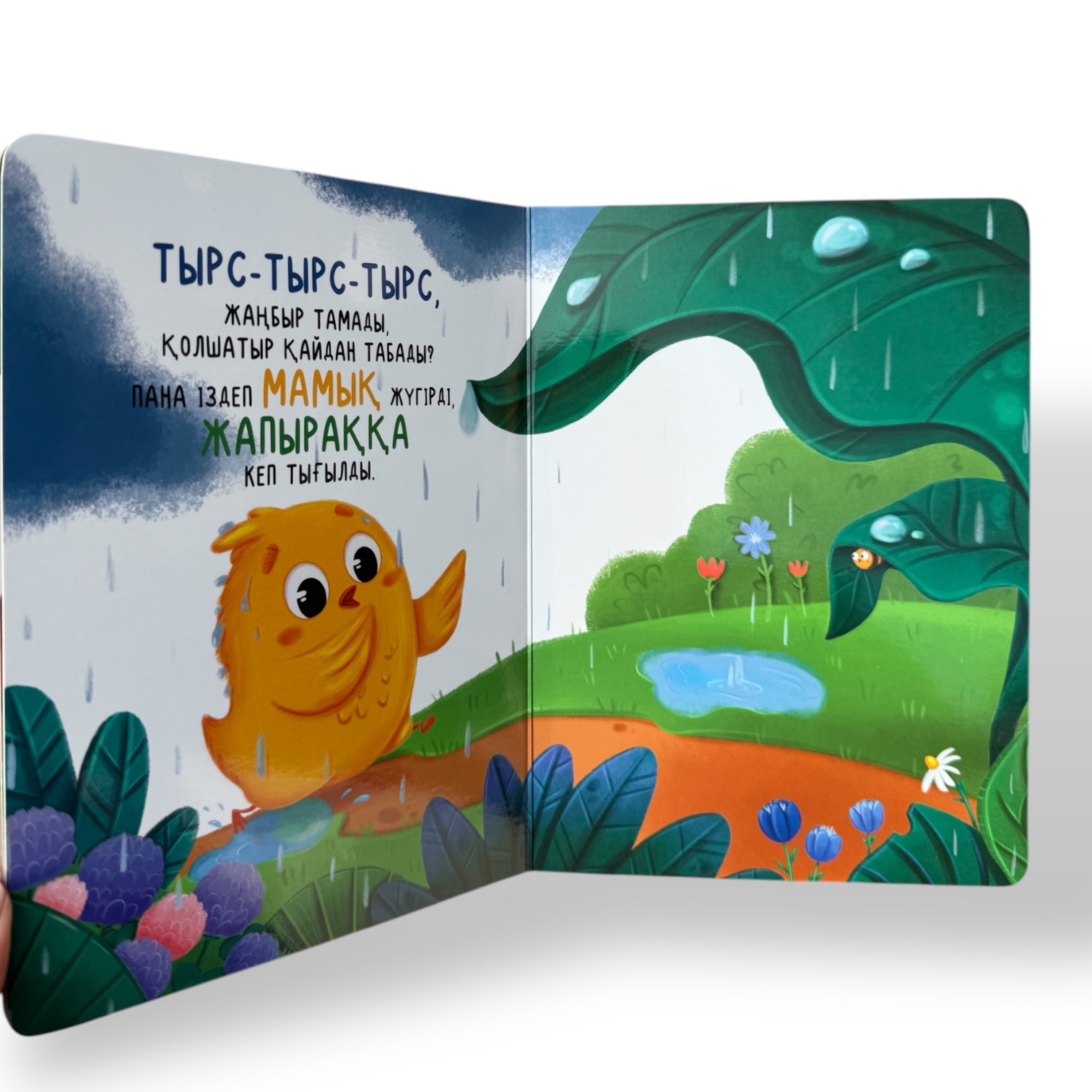 Мамық атты балапан. Алғашқы дос — фото 5