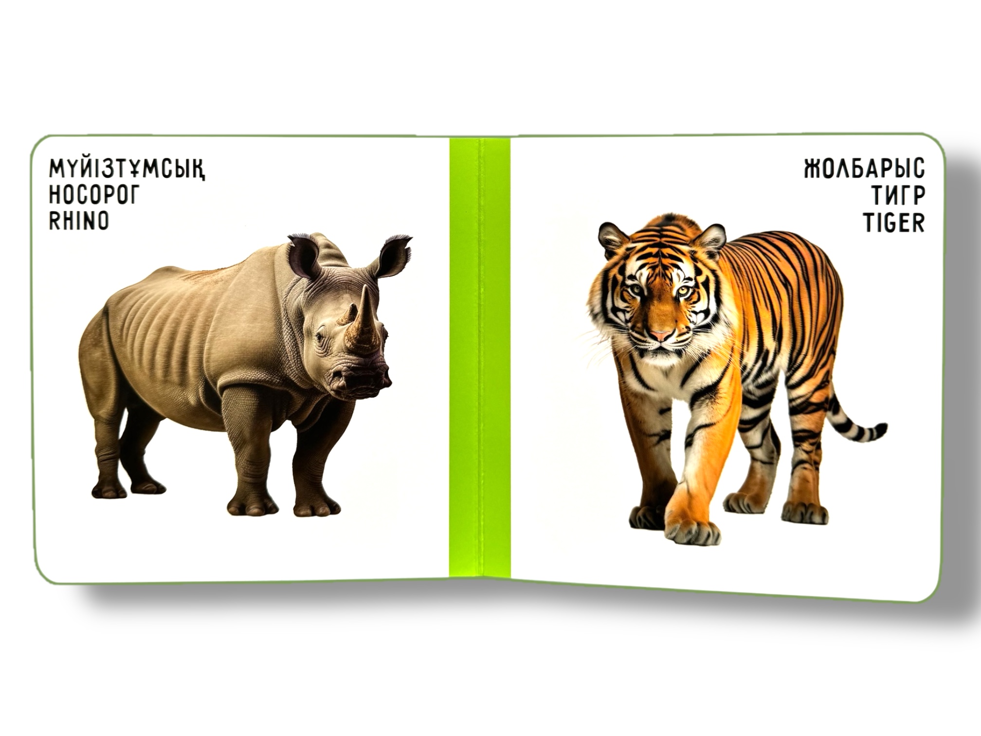 Жануарлар. Животные. Animals. Книжка-картонка на трёх языках — фото 2