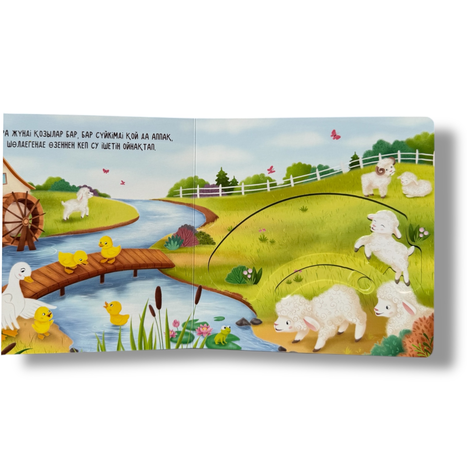 Тартамыз-түртеміз. Ферма — фото 3