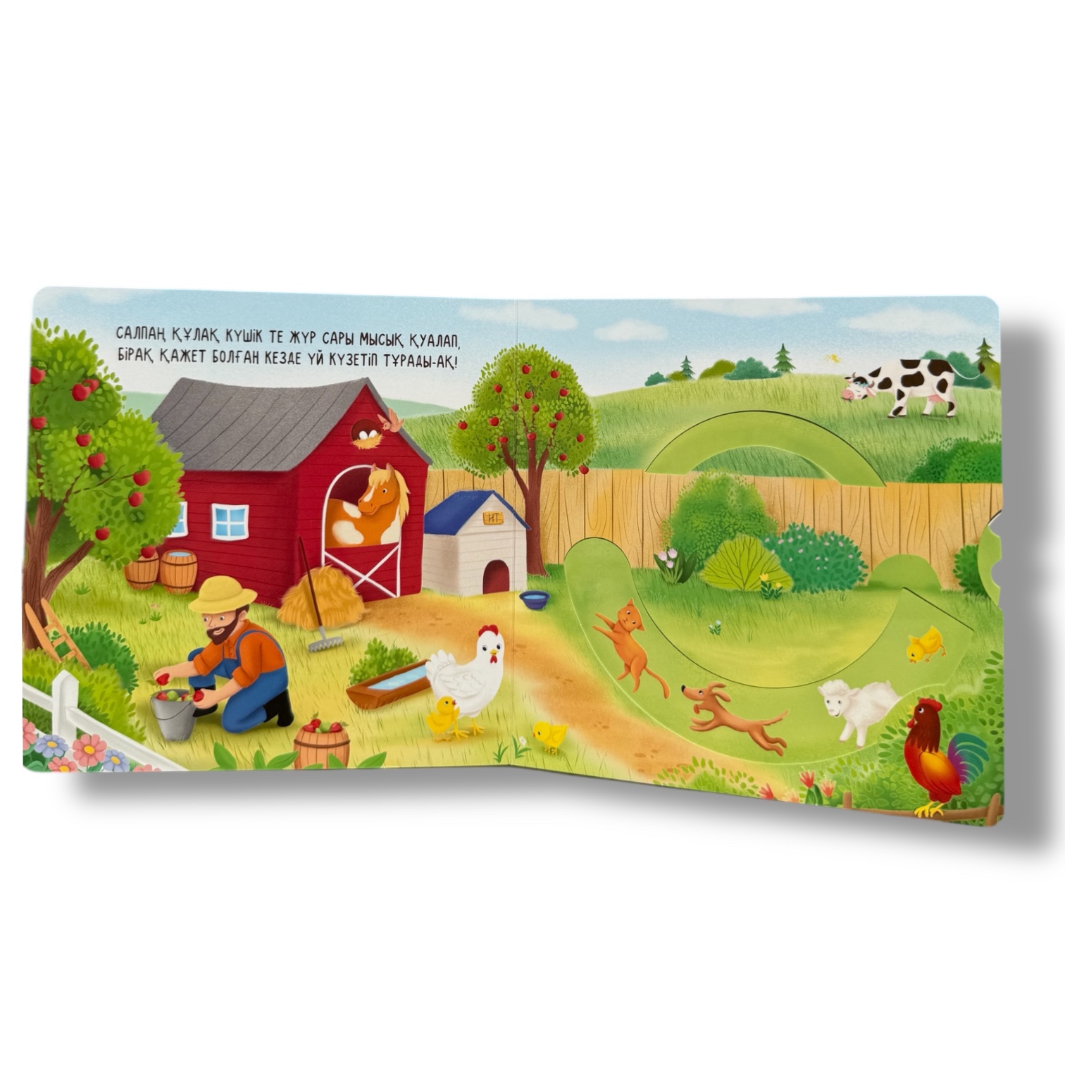 Тартамыз-түртеміз. Ферма — фото 6