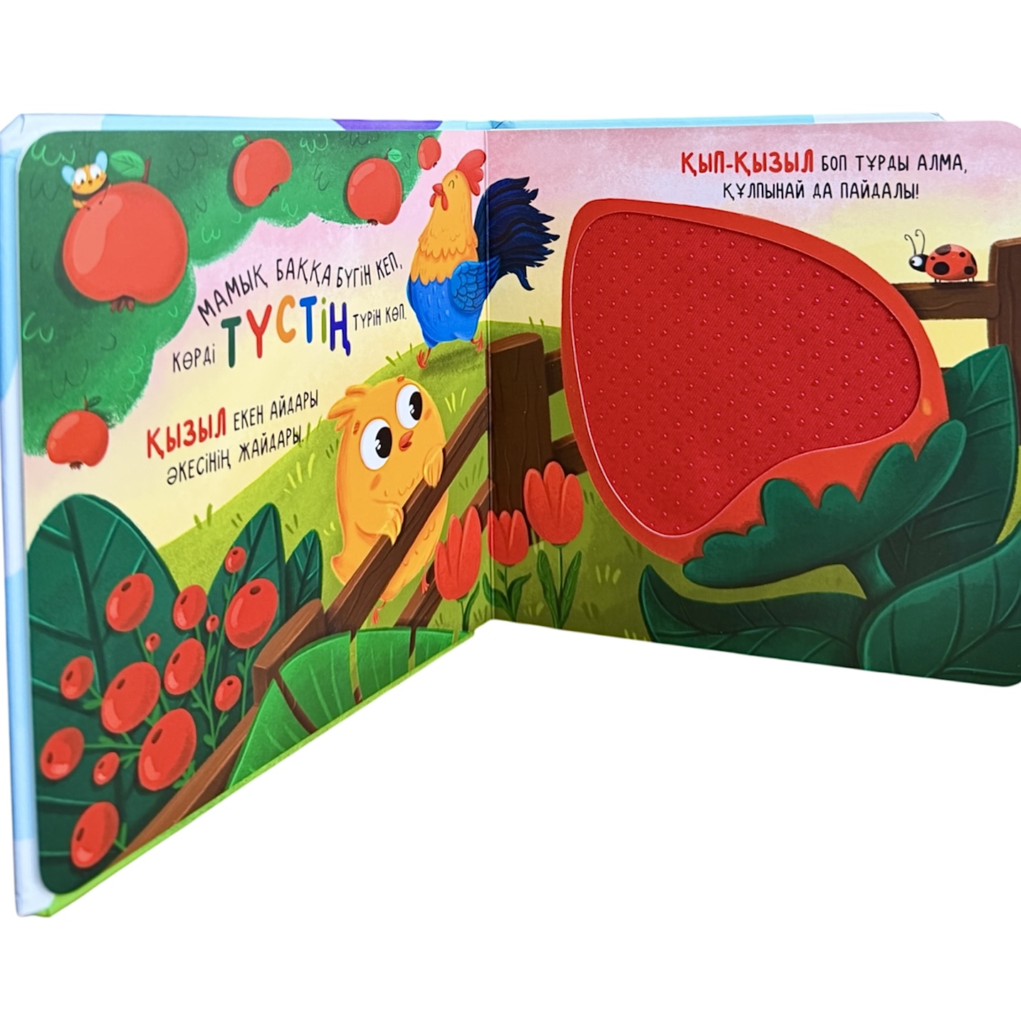 Мамық атты балапан. Түстерді тану. Тактильді кітап — фото 2